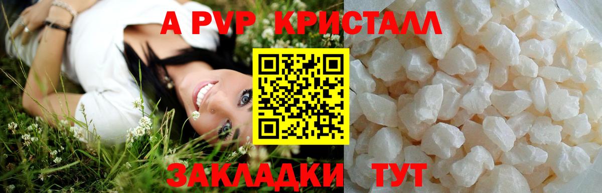 ГАШ Асино
