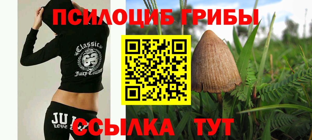 Асино  Псилоцибиновые грибы Cubensis  Вход с VPN 